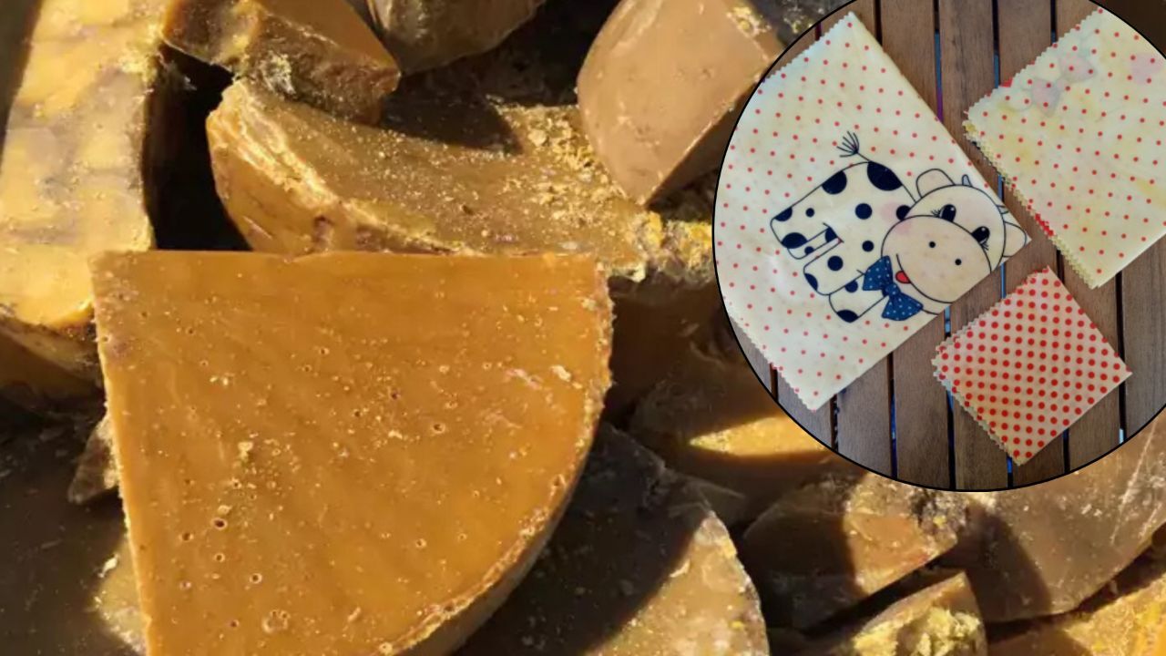 Oğlunun sağlığı için arayışa girdi, üretimde öncü oldu! Giresunlu girişimcinin ilham veren hikayesi