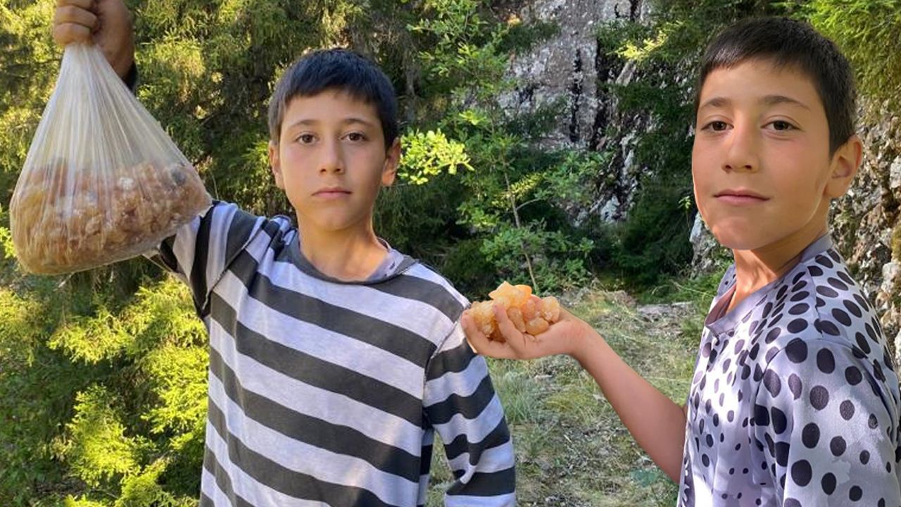 Metrelerce yüksekten topluyor! Kilosunu 5 bin liraya satarak harçlığını çıkarıyor