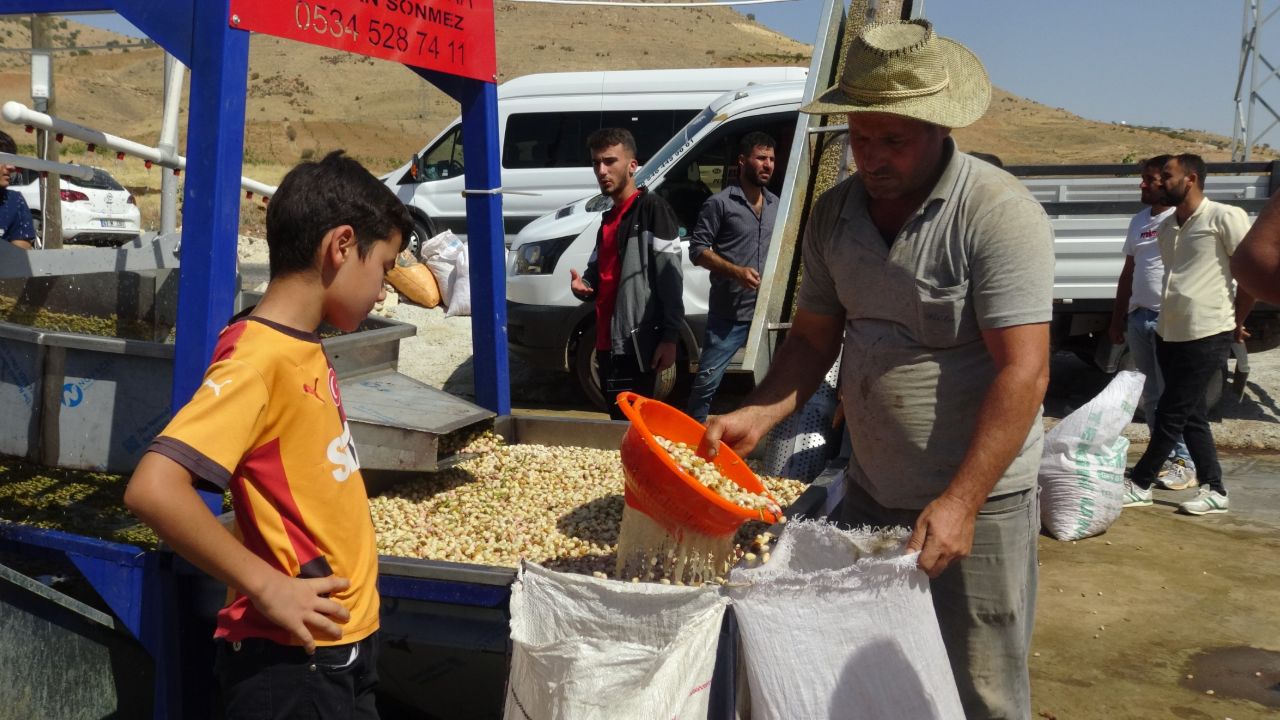 Verim düştü, fiyat arttı! Bu yıl bahçede kilosu 600 lira