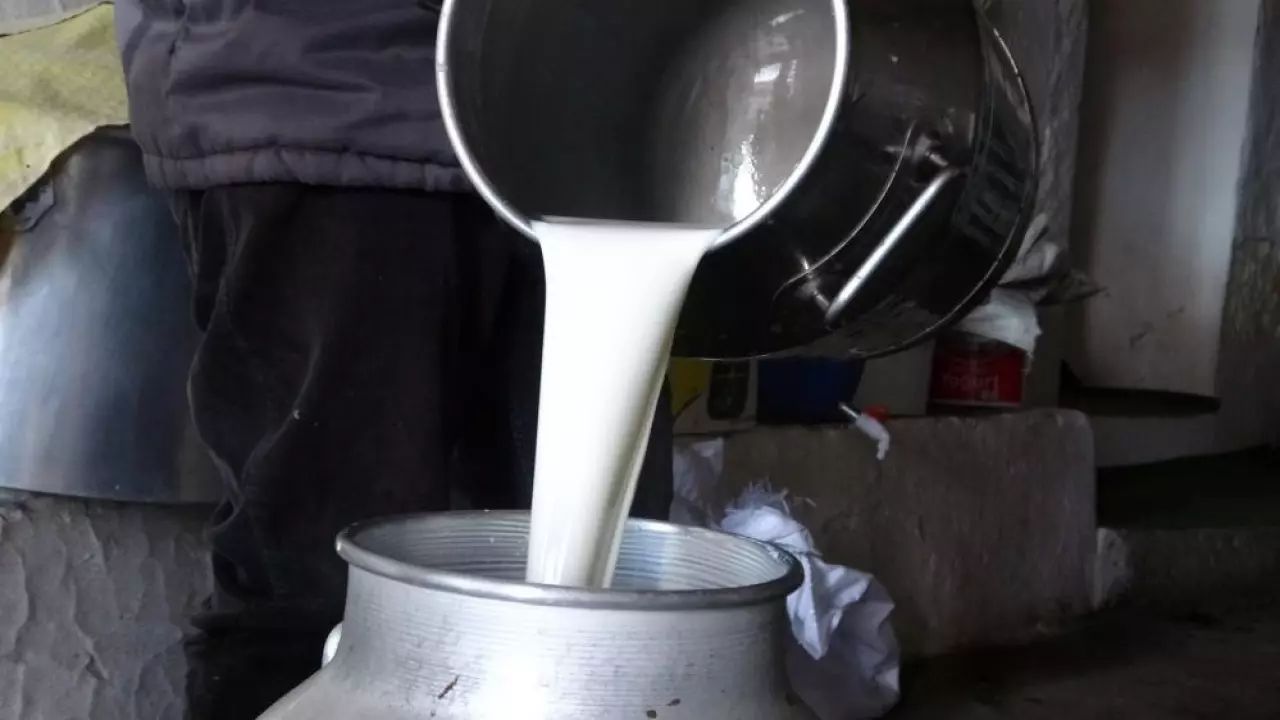 Çiğ süte zam! Peynir ve yoğurt fiyatlarına da yansıyacak