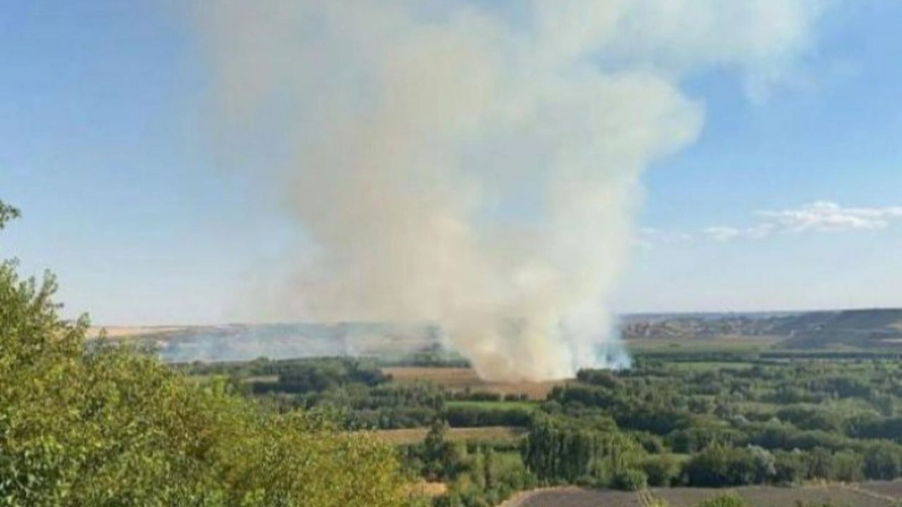 UNESCO listesindeki Hevsel Bahçeleri'nde korkutan yangın!