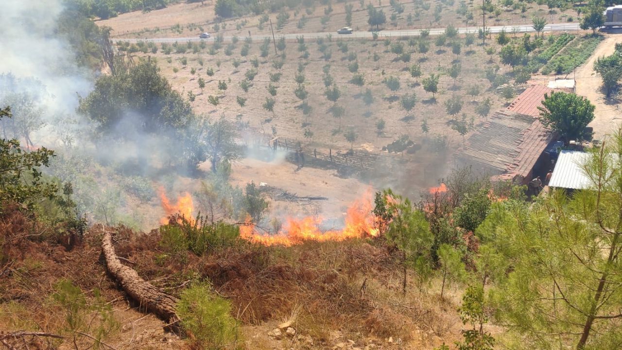 Balıkesir Sındırgı