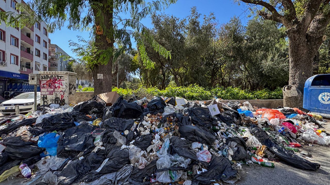 İzmirliler isyan etti, kötü koku her yere yayıldı! Sokaklarda fareler cirit atıyor...