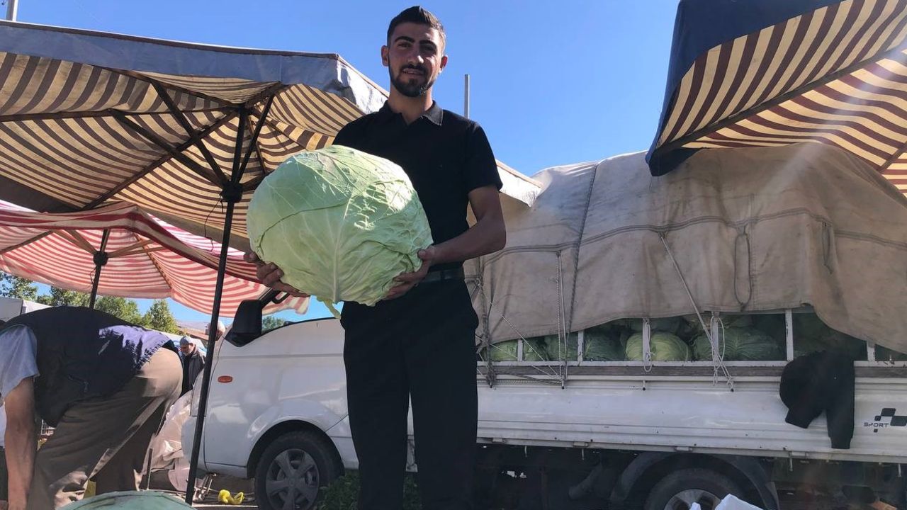 Kışın habercisi lahana tezgahlarda yerini aldı! Vatandaş fiyattan şikayetçi