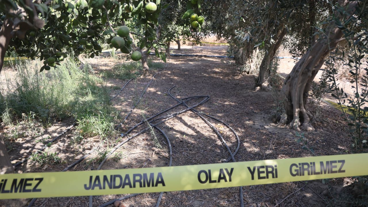 Mandalina bahçesinde dehşet! Hemşehrisini önce satırla öldürdü, sonra parasını aldı