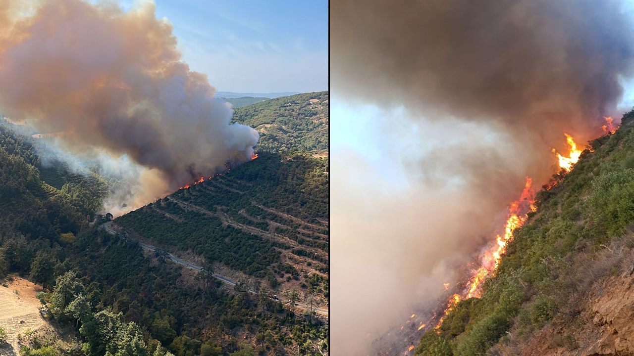 Balıkesir Kepsut'taki yangın kontrol altında