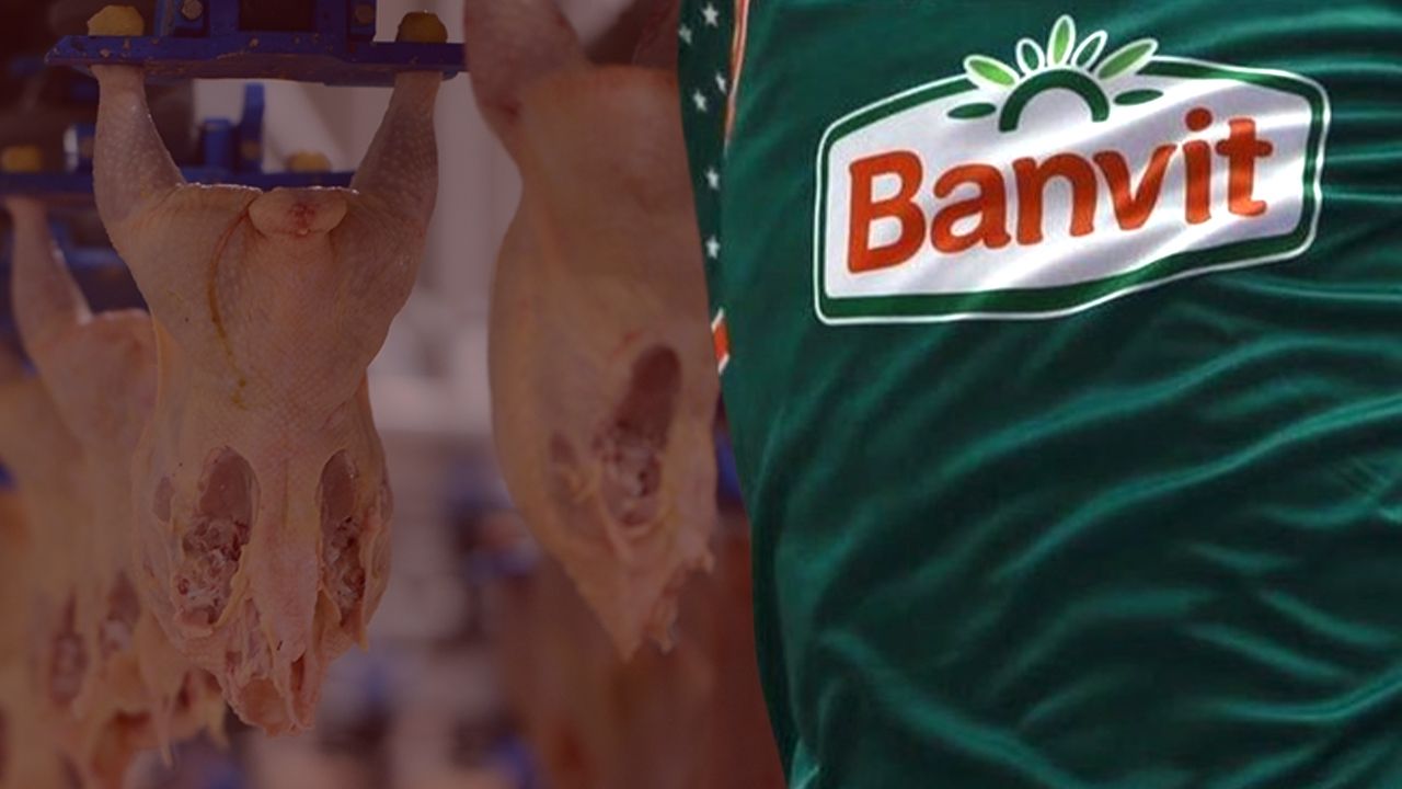 Piliç eti sektörüne ceza yağdı! Banvit'ten açıklama geldi