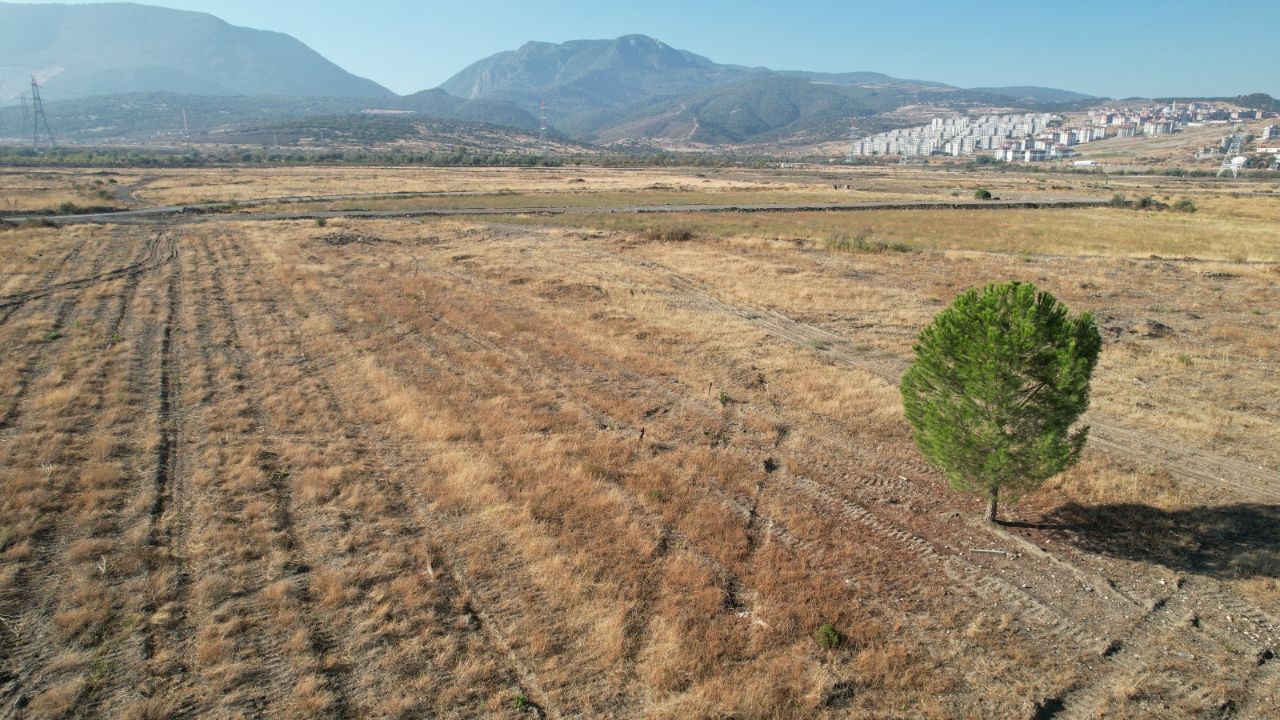 Hâlâ temel atılmadı! BYD’nin Manisa’daki fabrika alanında sessiz bekleyiş