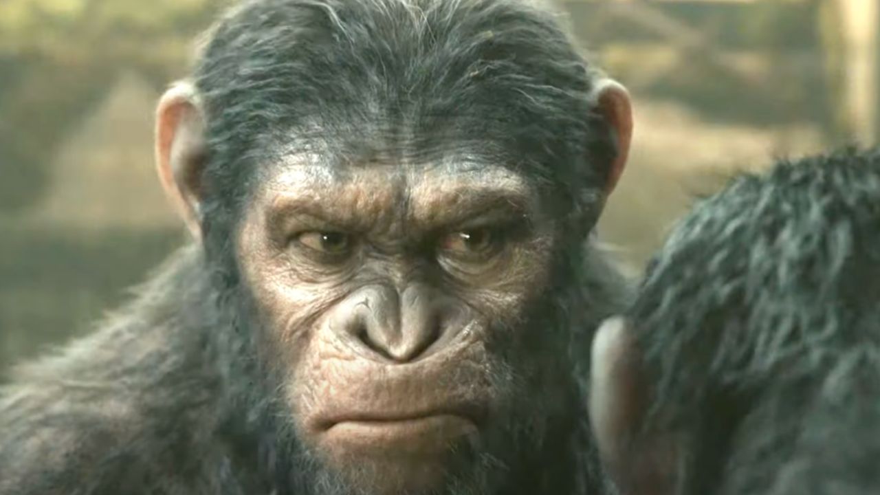 Maymunlar Cehennemi: Şafak Vakti konusu nedir, oyuncuları kimler?