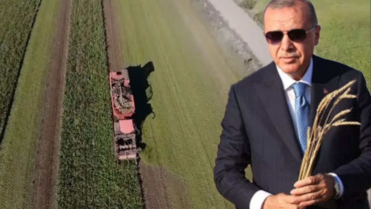 Çiftçiye çifte müjde! Erdoğan’dan 'şeker pancarı' için alım talimatı 