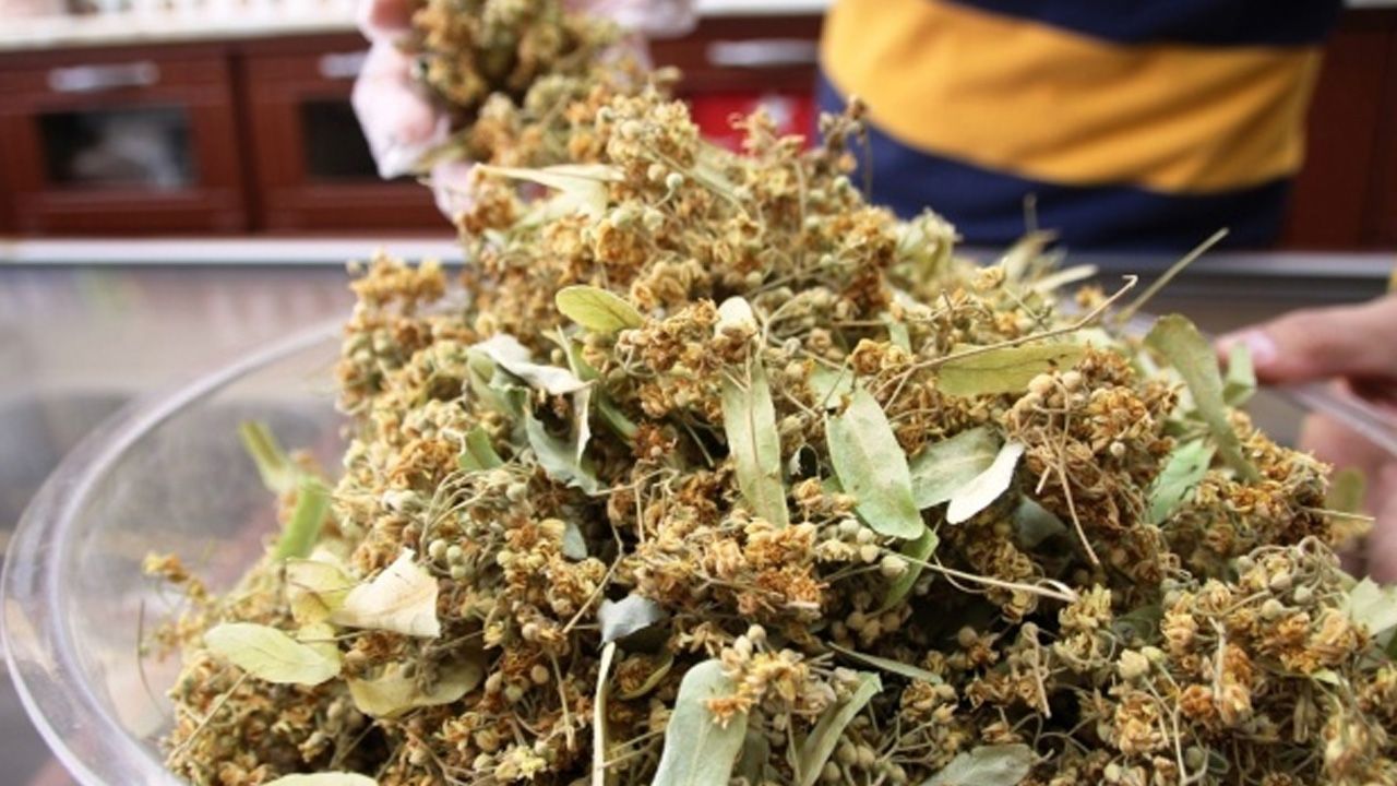 Şifa değil adeta lüks! Fiyatı altınla yarışıyor, esnaf tezgaha koymaya çekiniyor