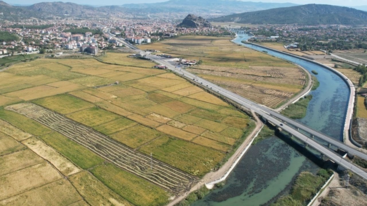 24 bin dekarda hasat mesaisi başladı: Kalitesiyle zirvede