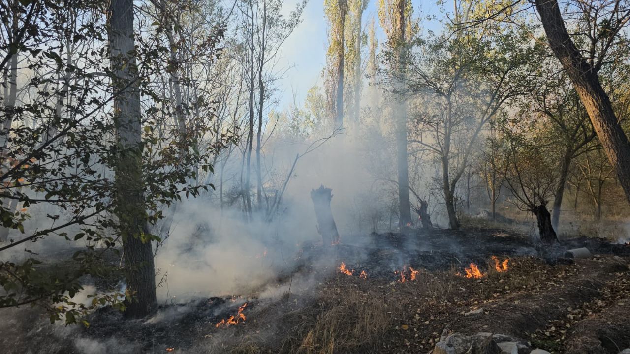 Çorum'da orman yangını: 620 dönüm alan zarar gördü