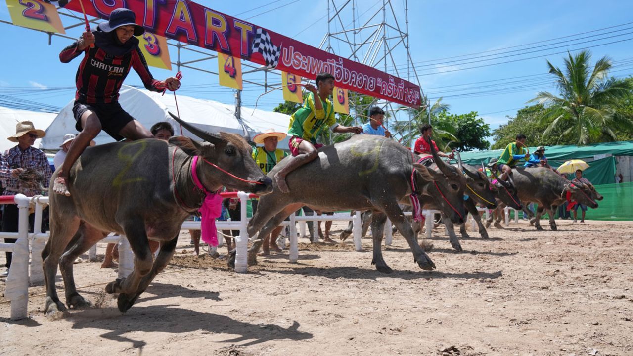 Tayland’da nefes kesen festival: Su mandaları artık göster yıldızı oldu