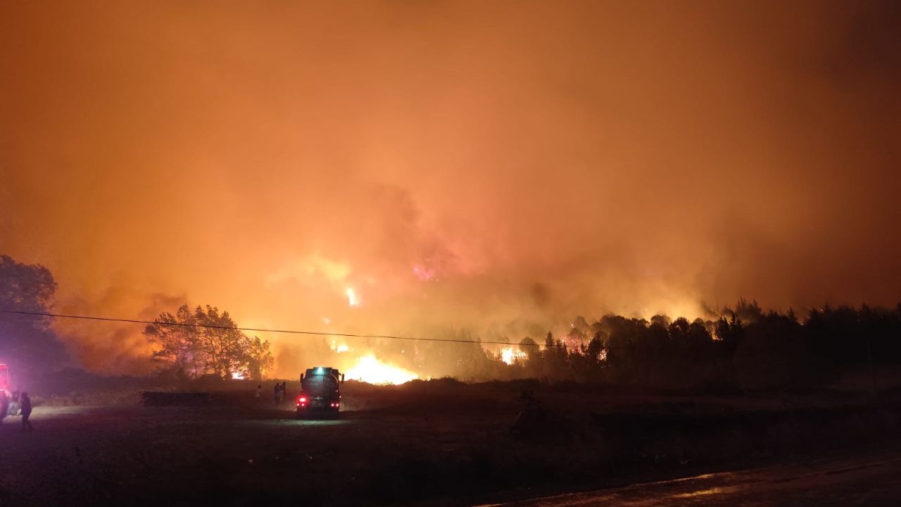 2025’te 6 bin 800 orman yangını çıktı: 80 bin hektar yandı