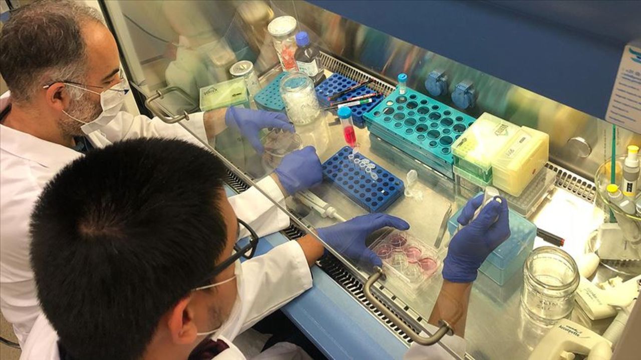 Bazı gıdalar, hücreleri genç tutuyor: 