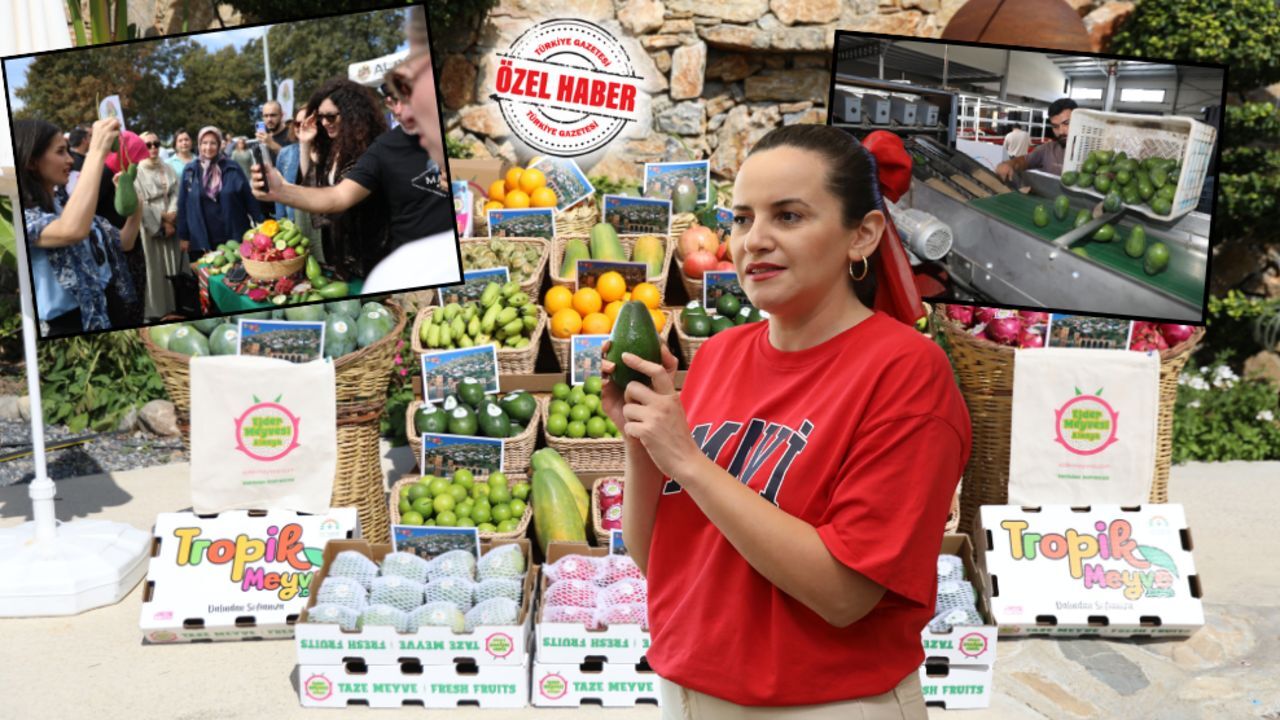 Tropikalin kalbi Alanya’da atıyor! Türkiye, Meksika ve İspanya’ya meydan okudu