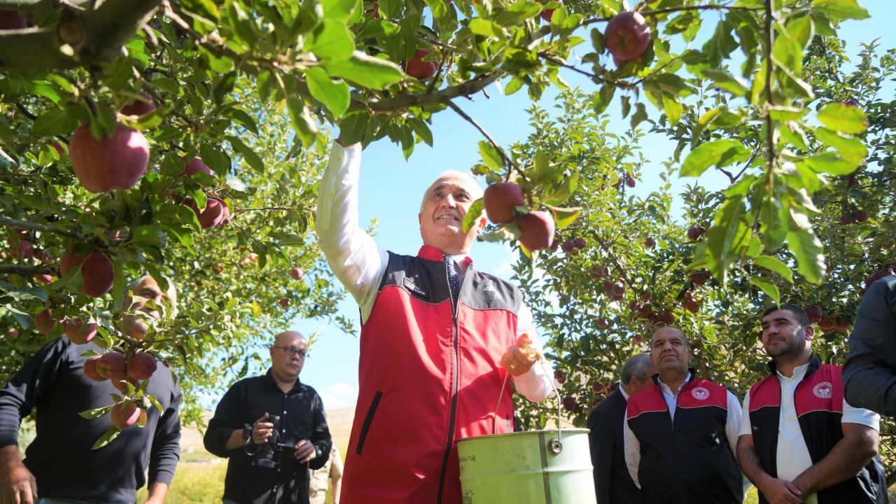 Zirai donun teğet geçtiği kentimiz! Elma hasadından 100 milyon liralık gelir bekleniyor