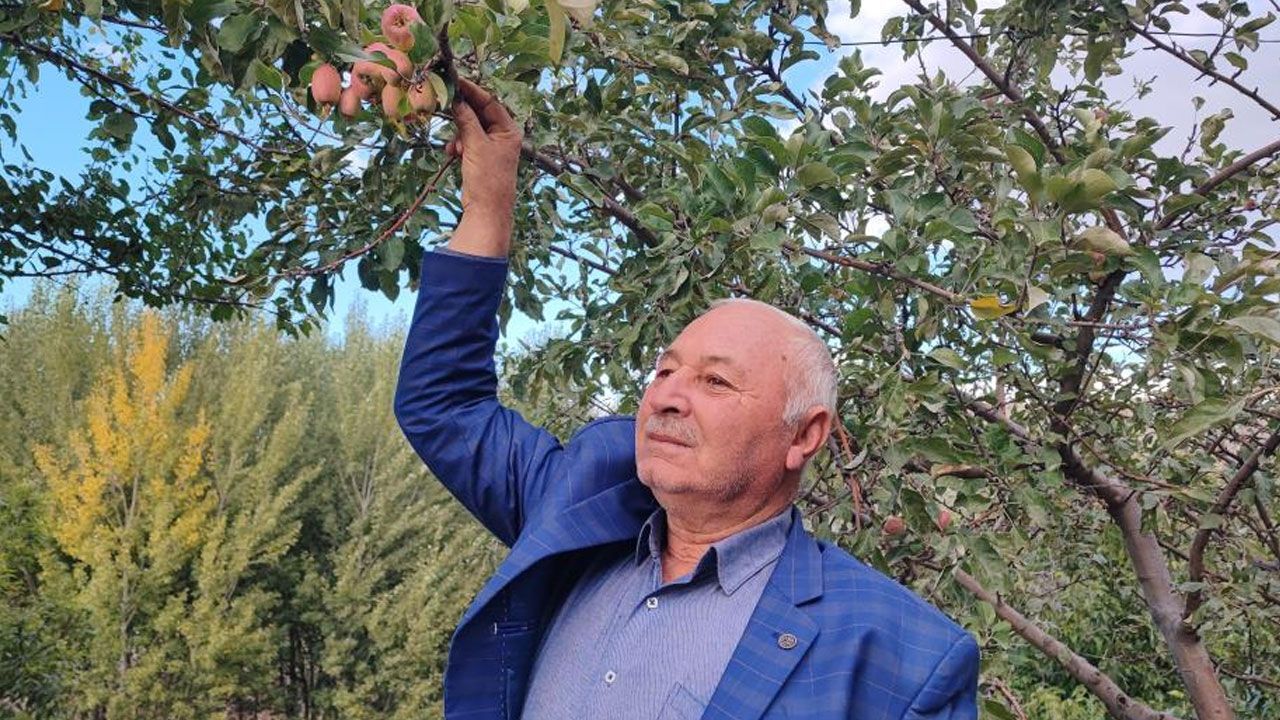 60 yıllık çiftçi ilk kez tanık oldu: Ömrümde böyle bir şey görmedim