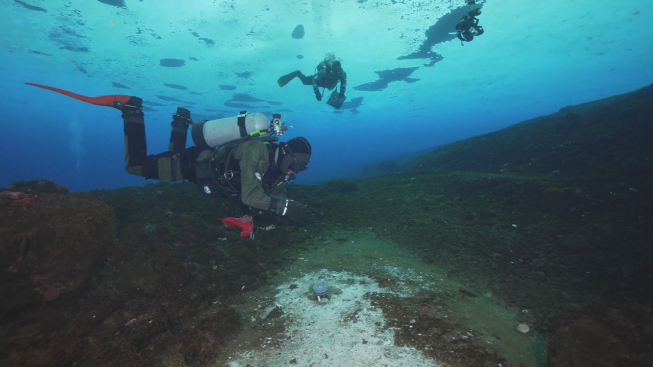 Bilim insanlarından okyanusun altında endişelendiren keşif! Hızla yayılmaya başladı