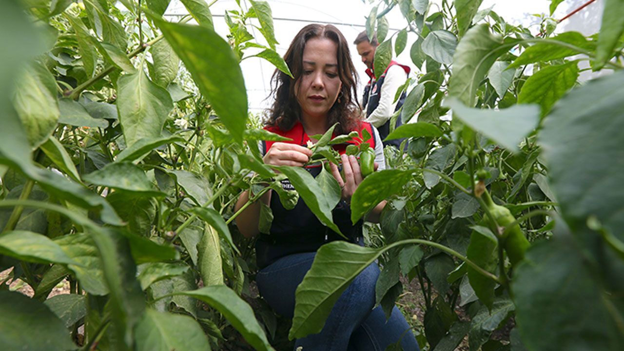 “Burada ürün olmaz” dediler, sera kurup herkese örnek oldular