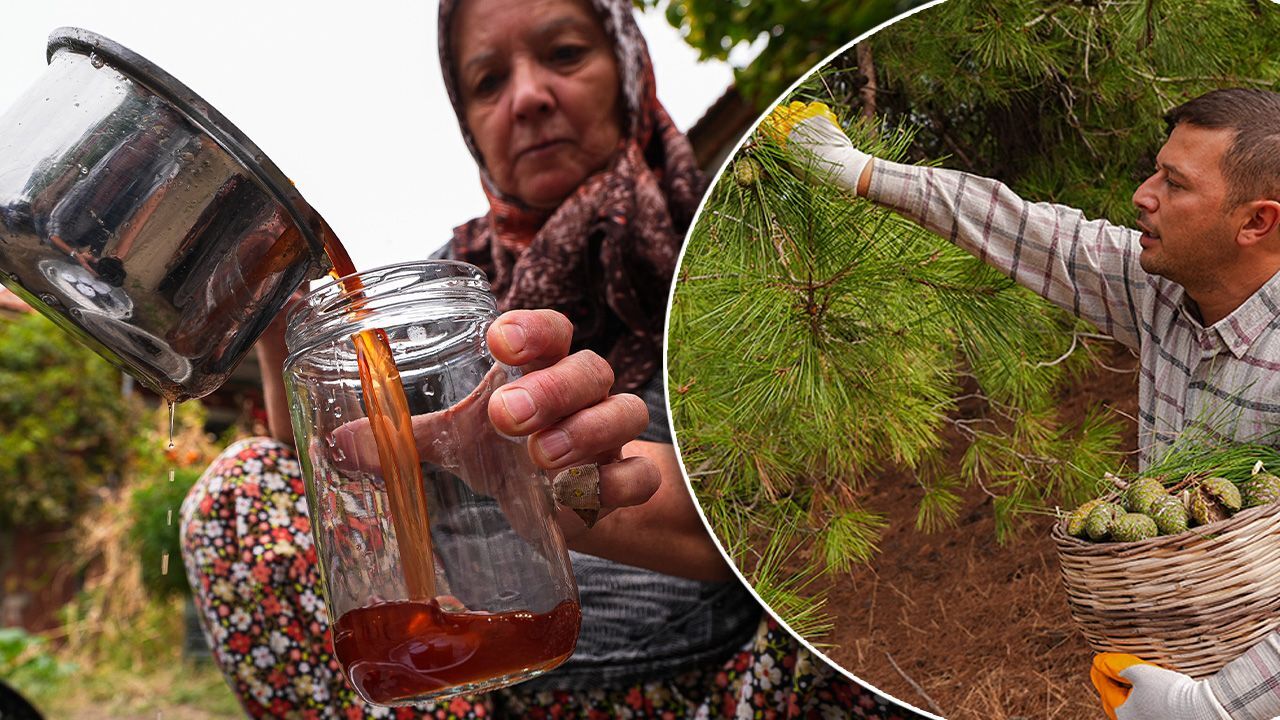 Kışın olmazsa olmazı, gribe kalkan... Bergama'da yeni trend sağlık ürünü kızılçam kozalağı pekmezinin üretimi başladı