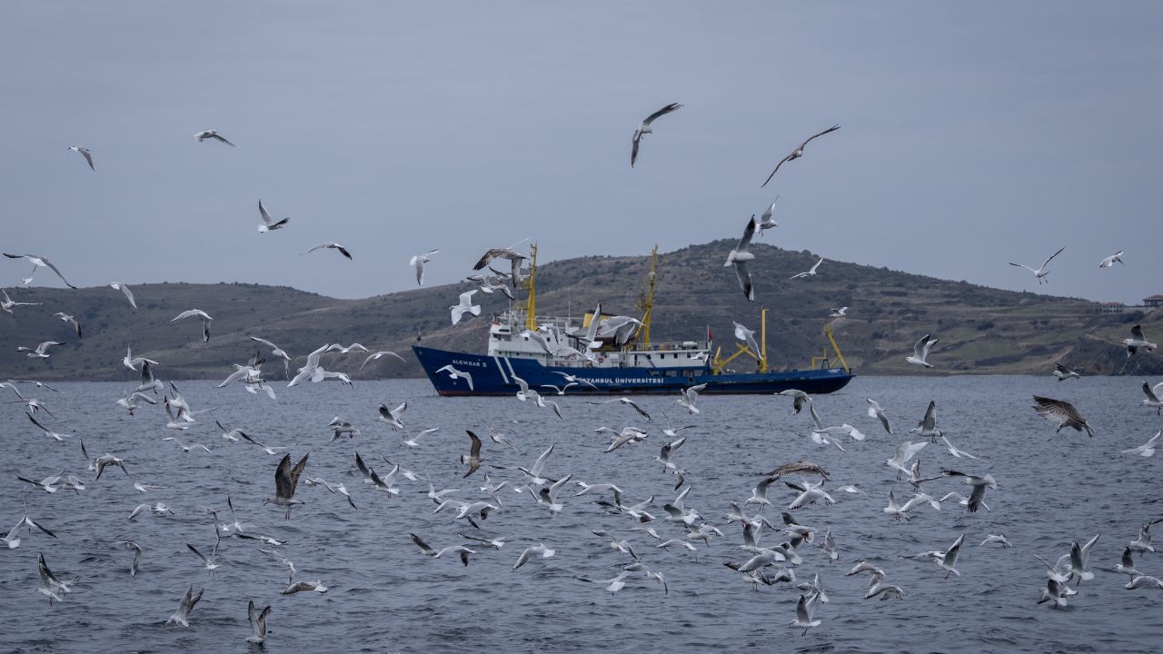 Marmara’ya müsilaj gözaltısı