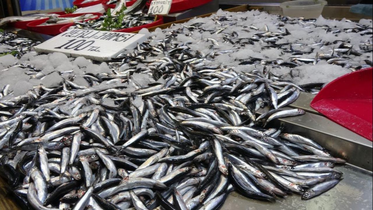 Sofraların vazgeçilmezi, Karadeniz'in gözbebeği için alarm verildi! Hamsi'de tehlike büyük...