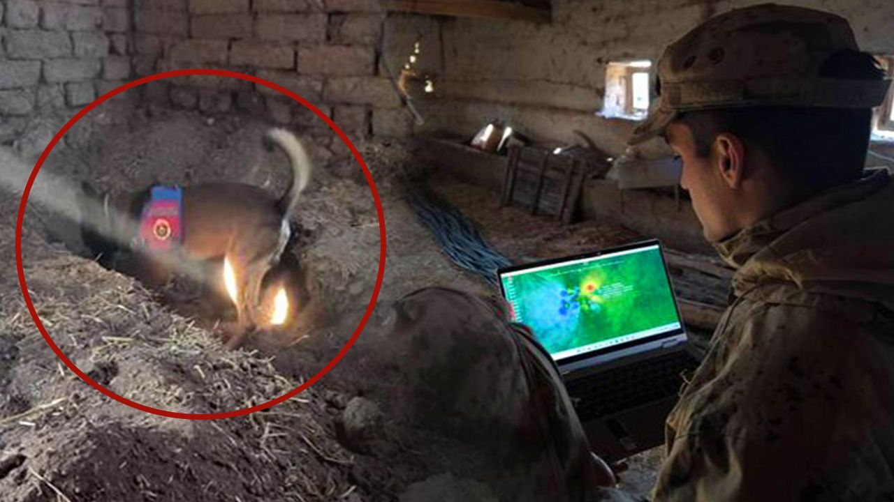 14 yıllık sır kaybın ardından cinayet çıktı! Katili meğer en yakınıymış