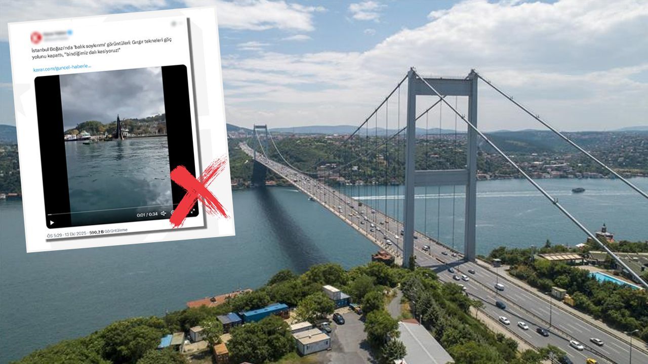 DMM'den net açıklama! Boğaz'da 'balık soykırımı' iddiası dezenformasyon çıktı