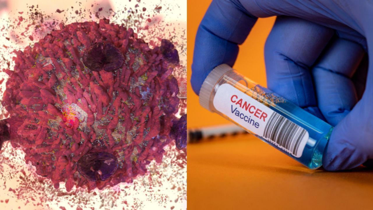 Kanser tarihe karışabilir! “Süper aşı” tümörleri önledi