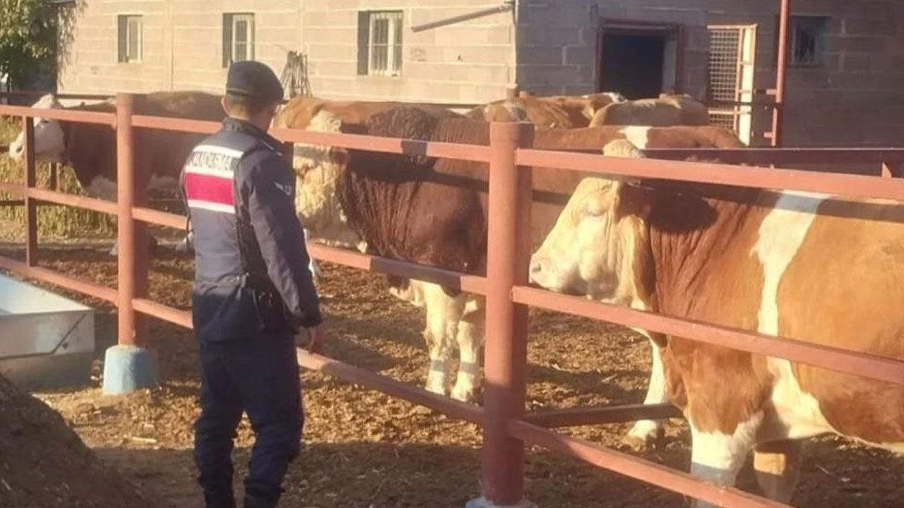 Hayvanlarını yemlerken boğanın saldırısına uğradı, kurtarılamadı