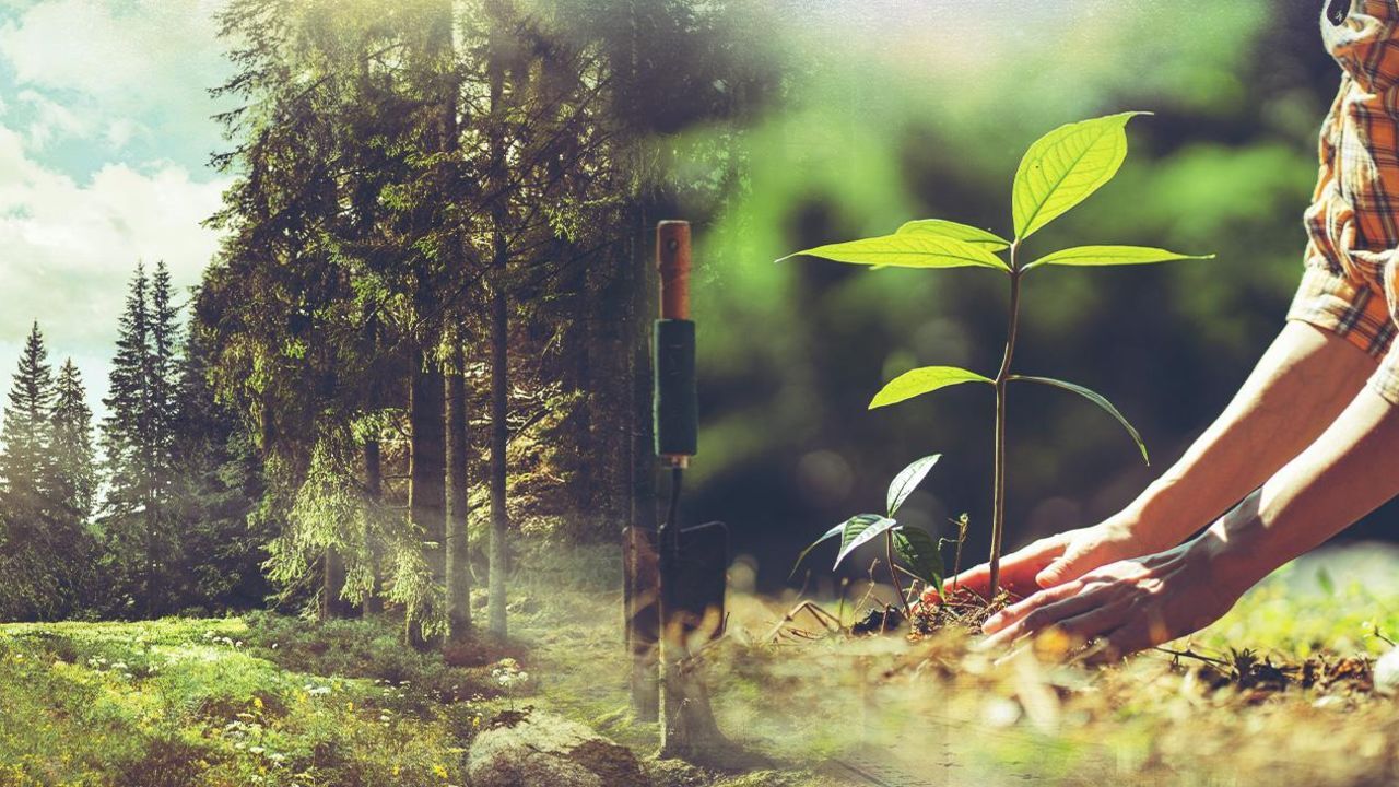 ‘Yeşil Vatan’a özel koruma! Ormanlık alanlar turizme açılmayacak