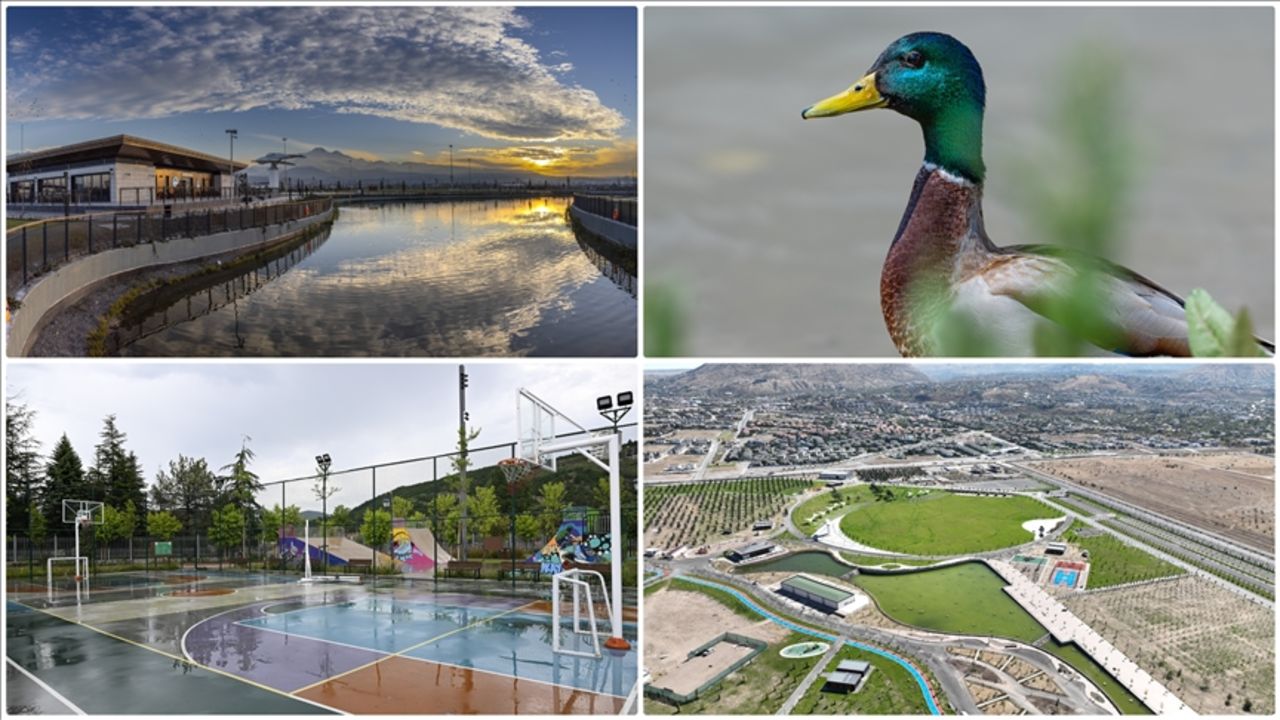 Millet bahçeleri kiralanıyor! Belediyeler ihmal etti, bakanlık devreye girdi