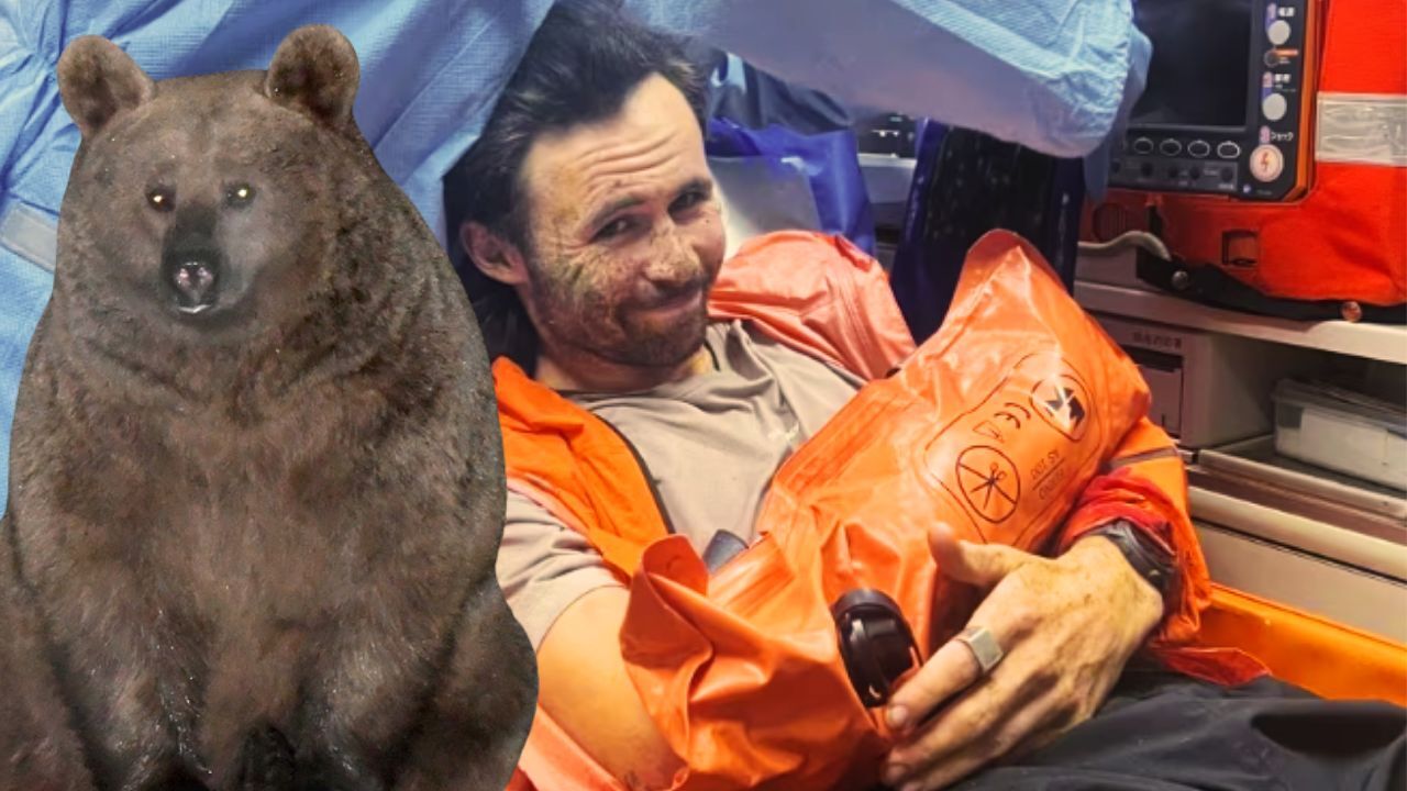 Japonya'da koşuya çıkan sporcuya ayı saldırdı! 