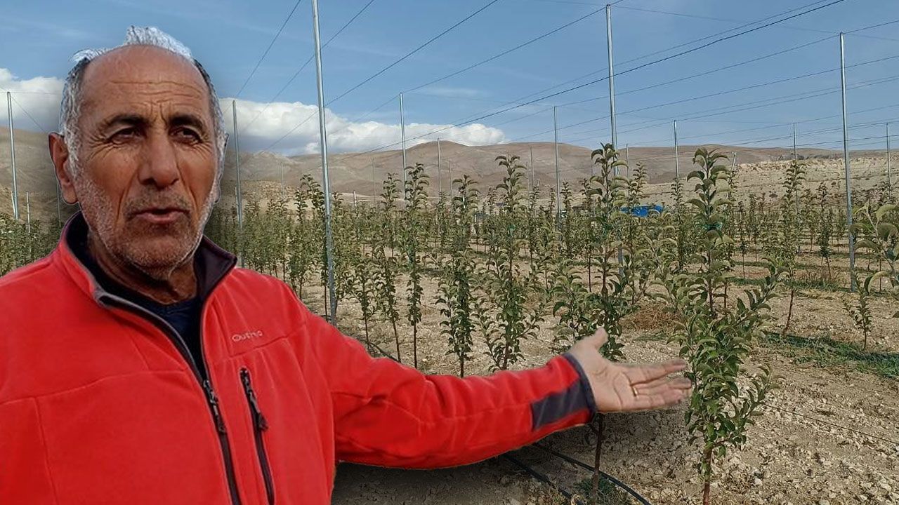 İlçede yetişen elma hayatına yön verdi: Harçlıkla başladı, şimdi 100 dönüm arazisi var