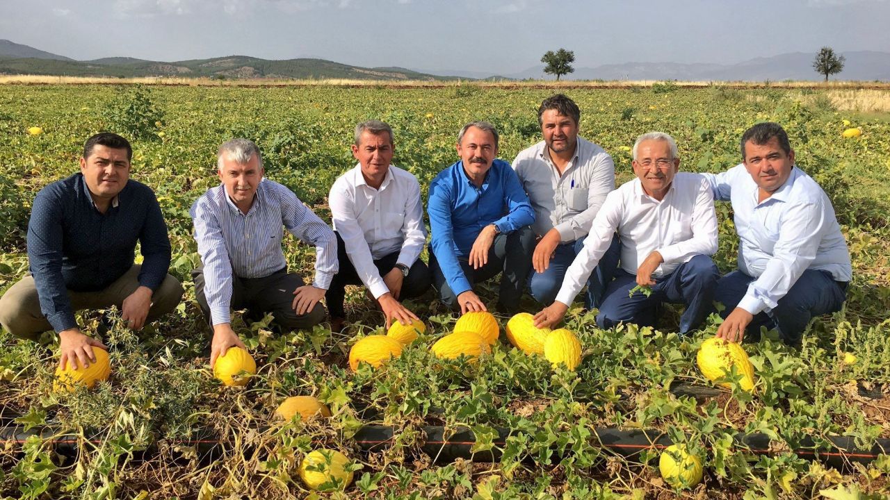Kilosu 10 lira! Tadı ve fiyatıyla memnun eden lezzet tescillendi
