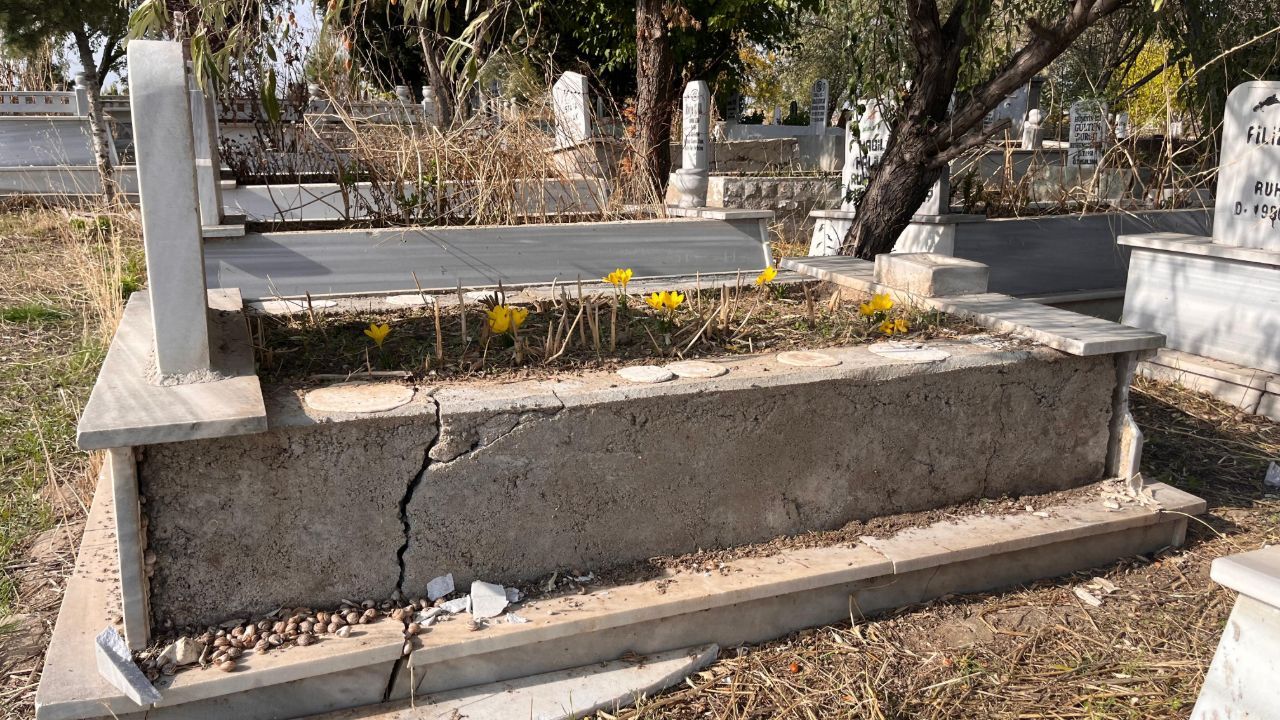 Mezarlıkta şoke eden olay! Çalıp evine götürdü, yetmedi bahçesine dikti