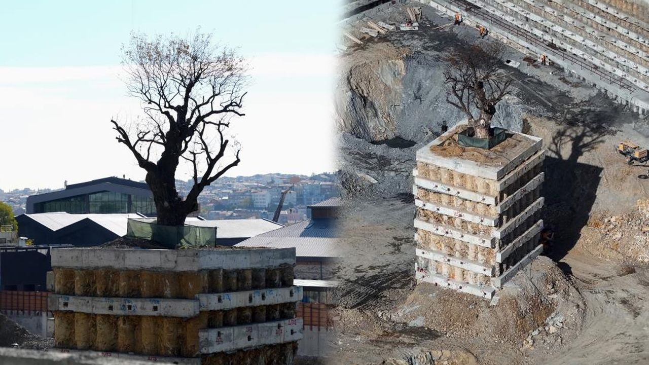 İstanbul'da merak uyandıran görüntü! Milyarlık projede tek o kurtuldu