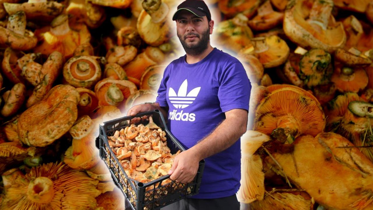 Ege'nin en sevilen lezzeti! Kilosu 500 liradan tezgahlarda yerini aldı