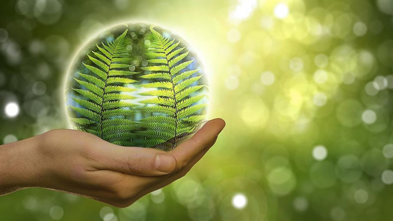 Prof. Dr. İbrahim Turna: Türkiye’nin ‘Yeşil Vatan’ için rekor kırma potansiyeli var