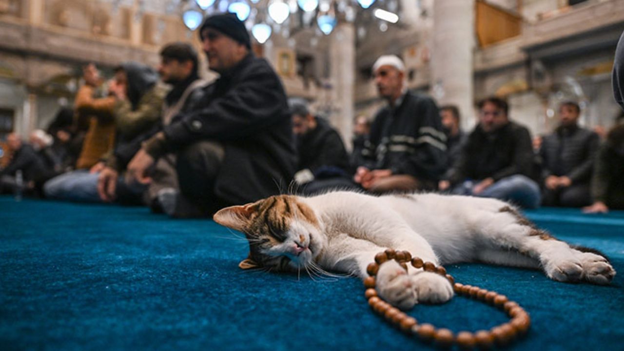 Teheccüd namazı nasıl kılınır, kaç rekattır? 2025 Teheccüd namazı kılınışı ve faziletleri