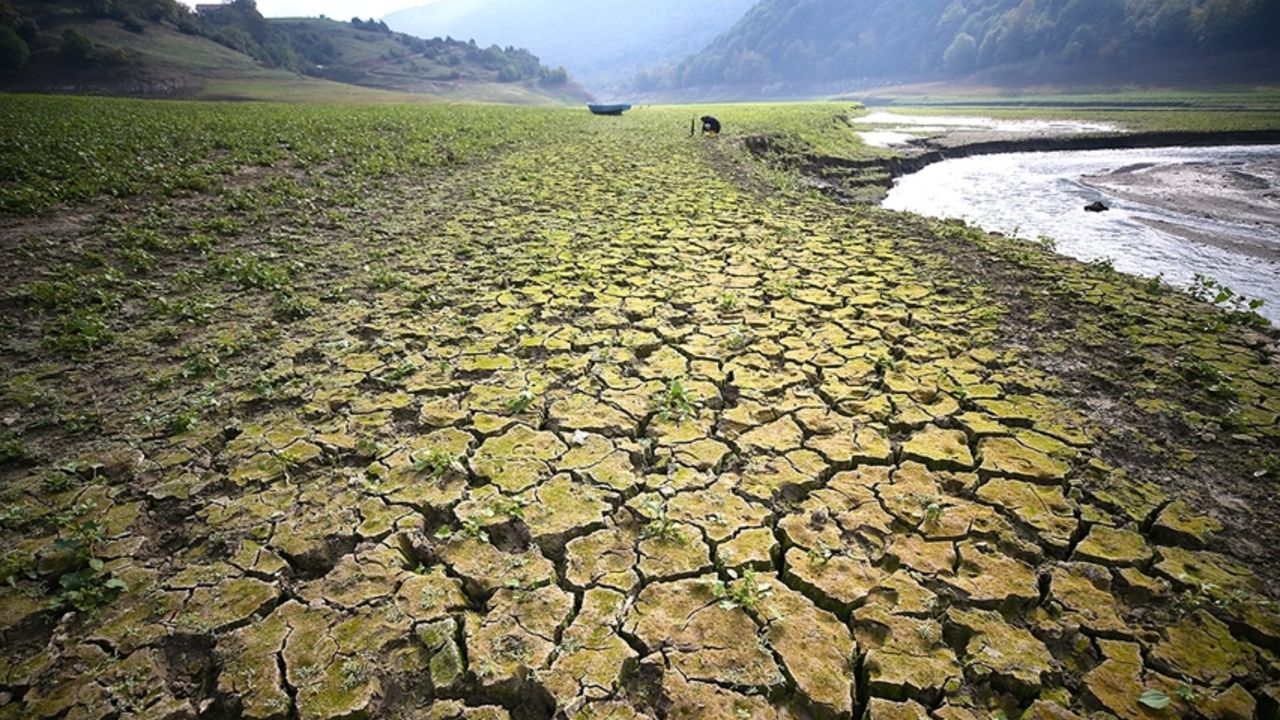 Kuraklıkta tarihi dönem! Ürün kayıpları yüzde 85