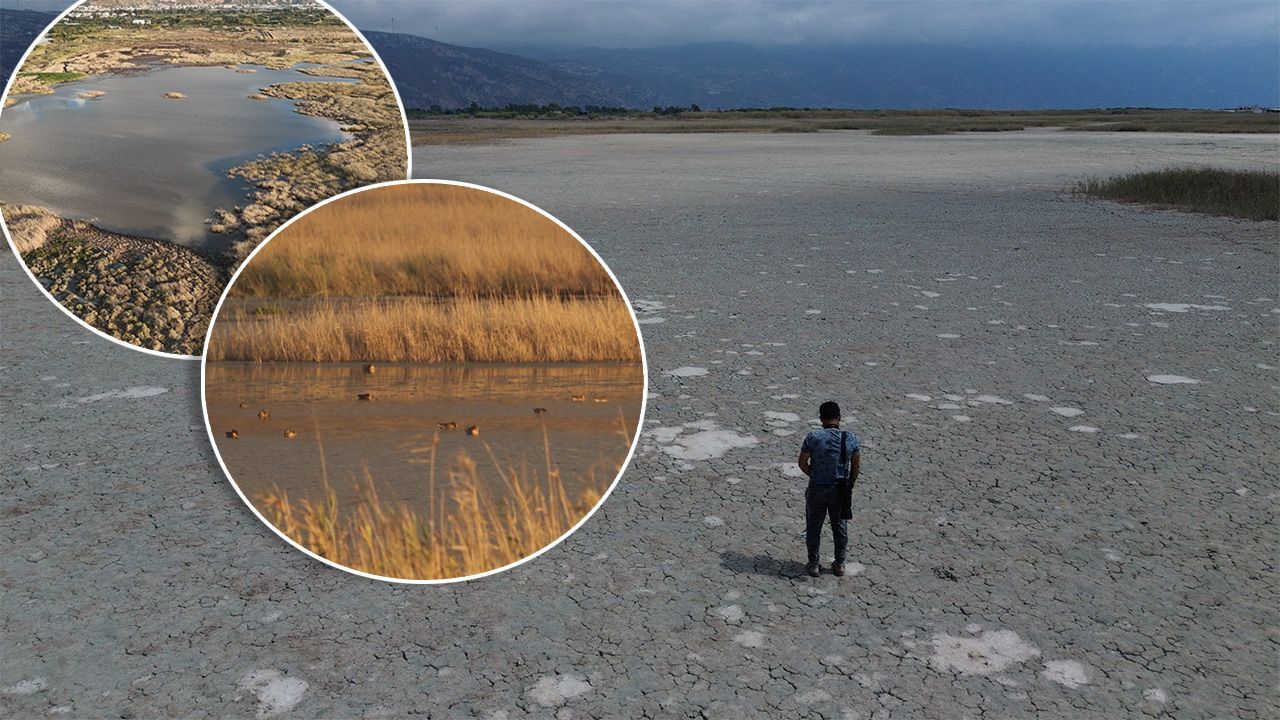 Flamingo, kılkuyruk, çıkrıkçın, kaşı gaga, yeşilbaş! Çöle dönen Milleyha'da kuş sesleri yankılanmaya başladı