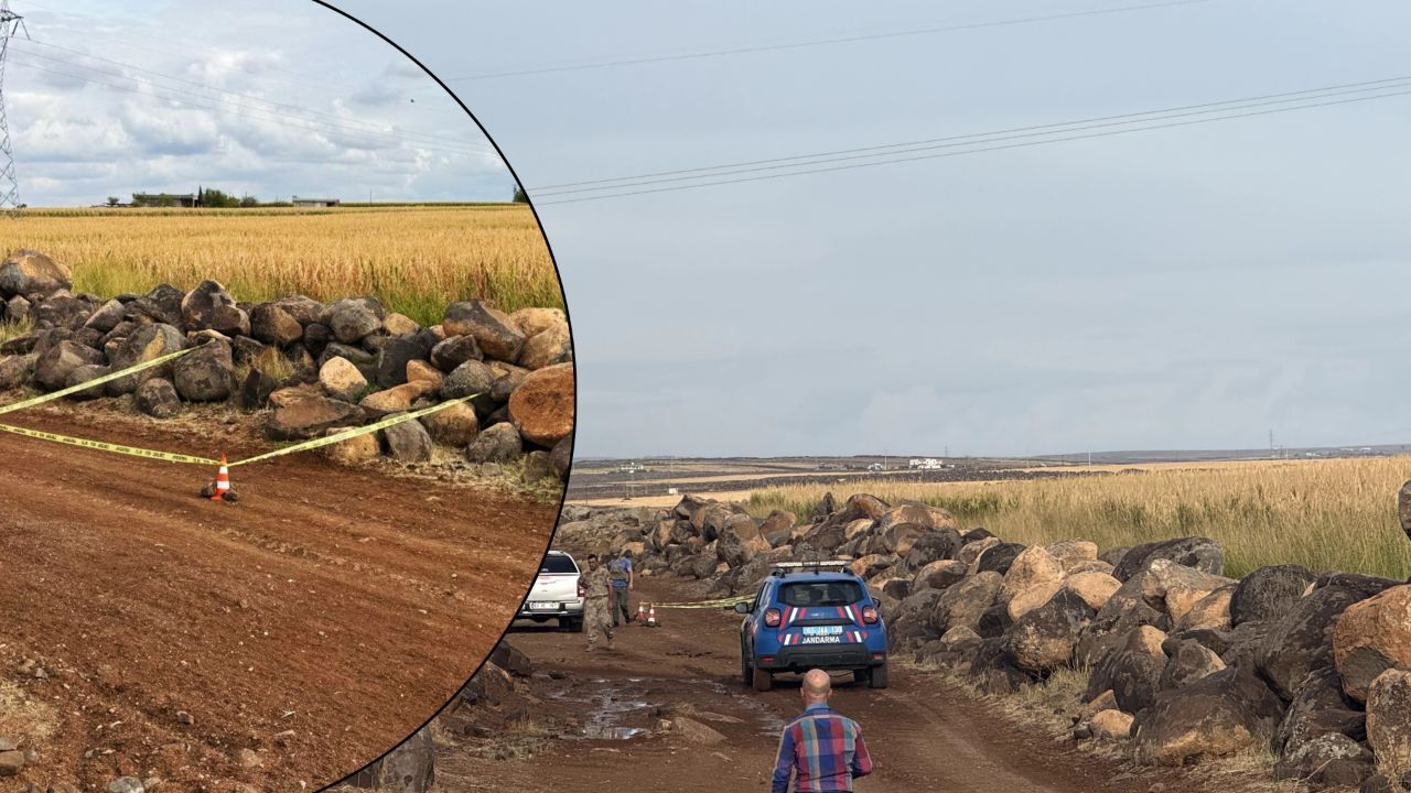 Siverek'te tarlasını süren çiftçi fark etti! Ölümle burun buruna geldi...