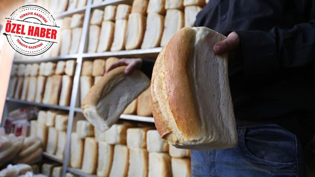 100 gündür küflenmeyen ekmek! Türk şirketi, gıdada israfın önüne geçecek