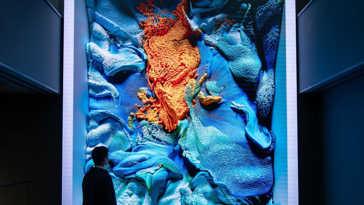 33 Millî Park’tan doğan çalışma! Türkiye’nin çiçekleri dijital sanata dönüştü