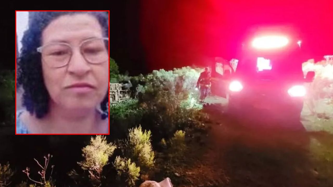 Aracıyla arı kovanlarına daldı! Yardıma gelen babası da kurtarılamadı