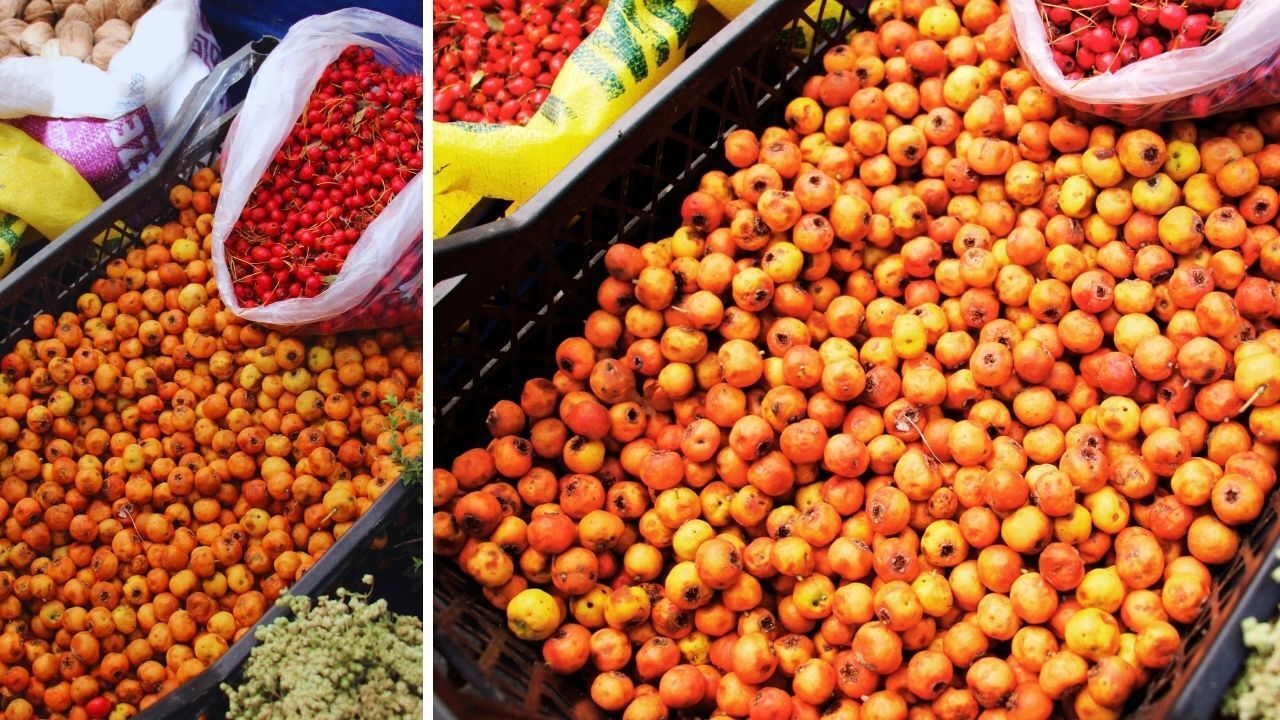 Doğada kendiliğinden yetişiyor! 'Şifa deposu' tezgahlarda yerini aldı: Kilosu 100 TL