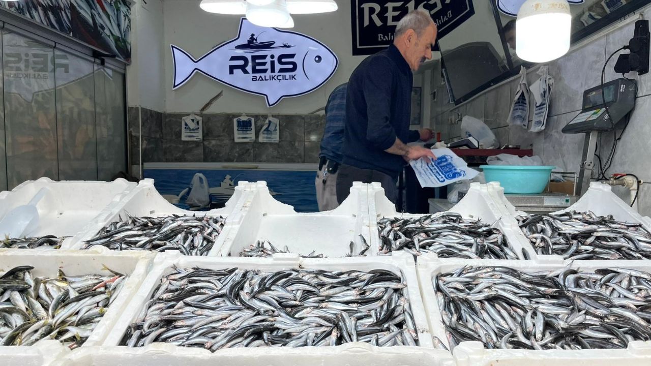Tezgahların en ucuz balığı! Kilosu 100 liradan satılıyor